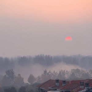 美女被人草人视频在线看
