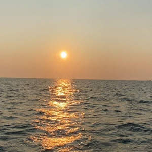 美女被人草人视频在线看
